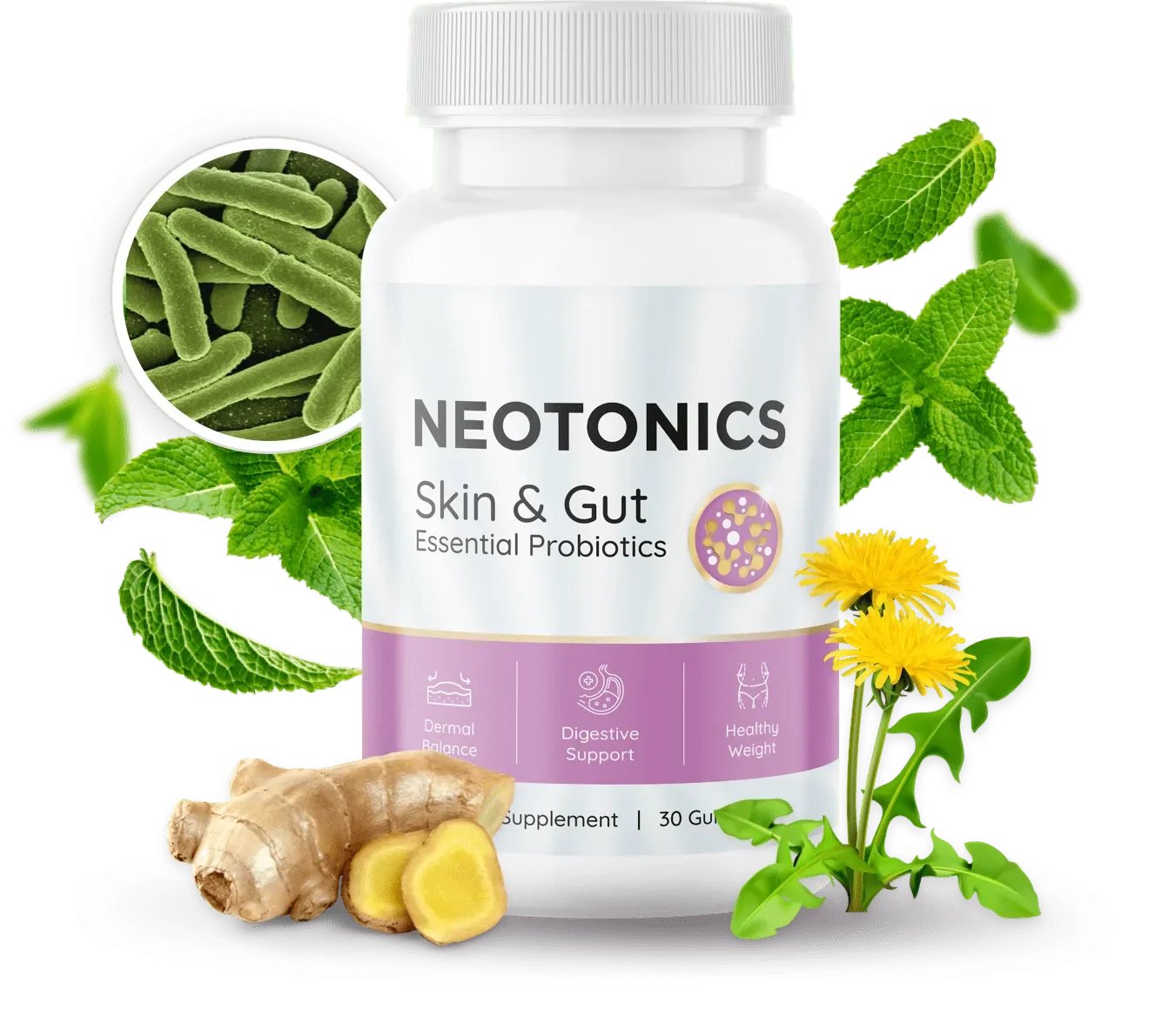 Neotonics Homepage